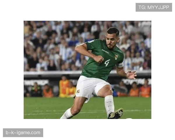 南美足球赛季激战落幕：精彩对决与高光时刻全回顾