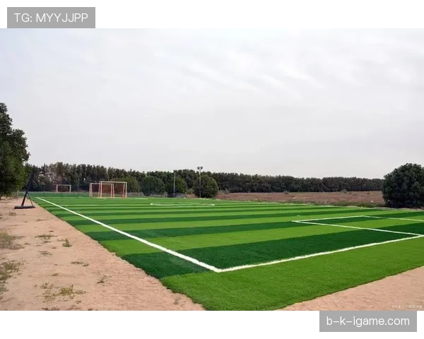 探秘球场:全新参观指南揭开足球场馆背后的传奇故事与历史 探秘球场:全新参观指南揭开足球场馆背后的传奇故事与历史