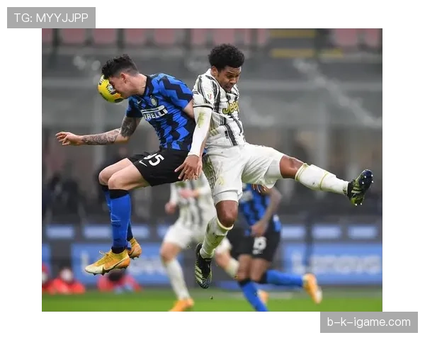 巴斯托尼：对比德利赫特——技术型与对抗型路径分化